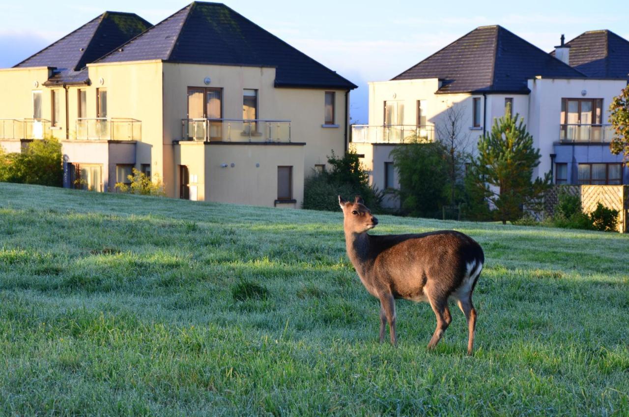 Waterford Castle Hotel & Golf Resort Ballinakill  Екстер'єр фото