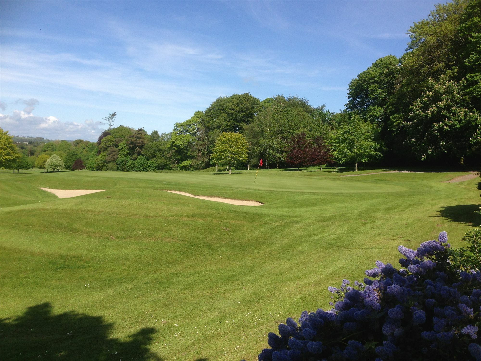 Waterford Castle Hotel & Golf Resort Ballinakill  Екстер'єр фото